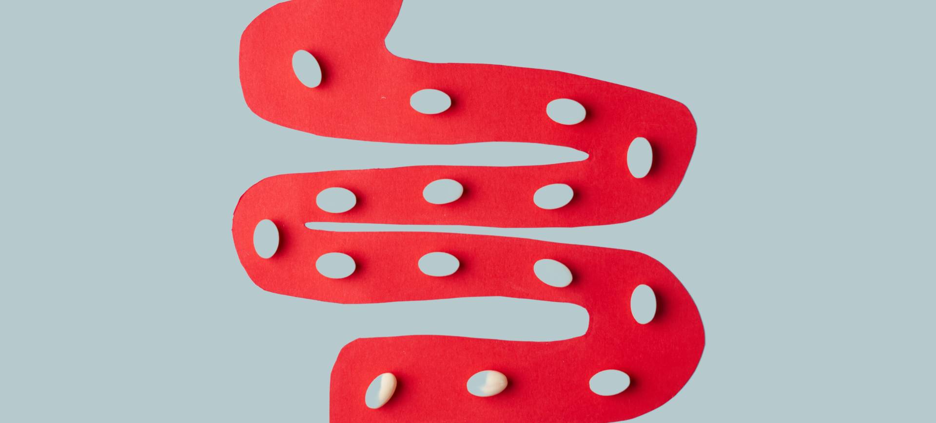 An image of small substances going through the small intestine.